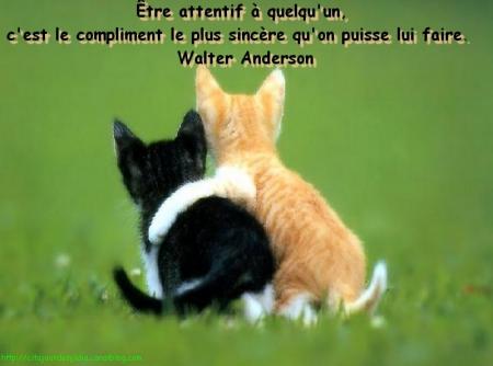 Comment allez-Vous ?